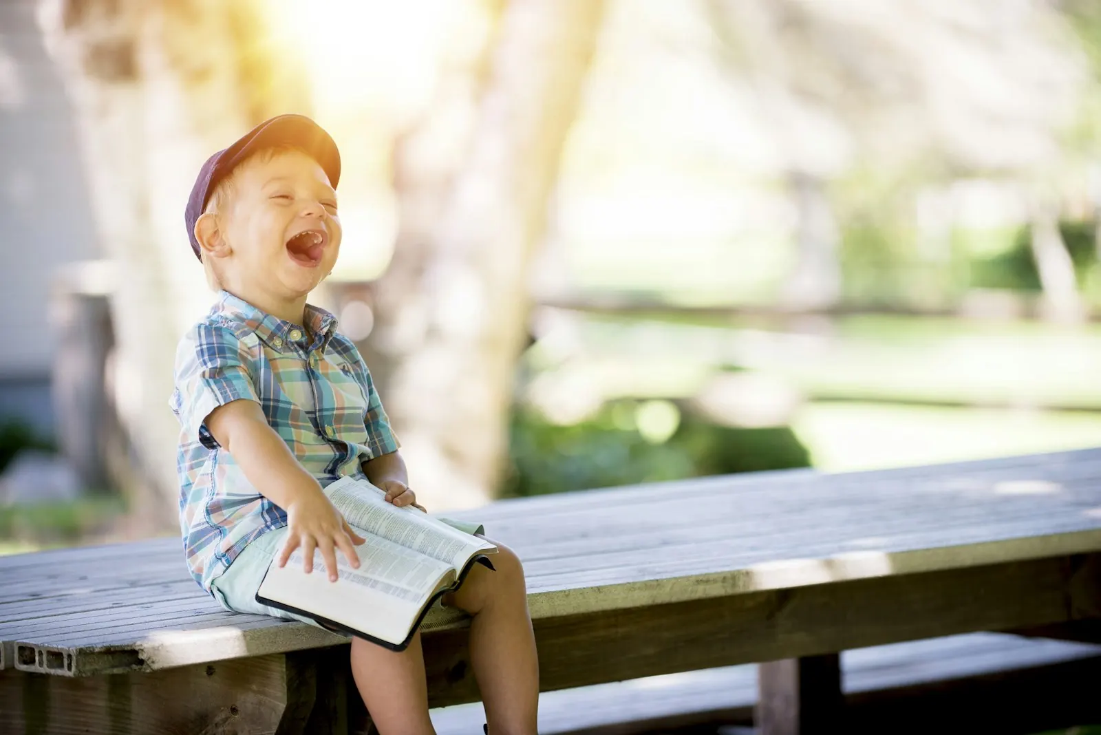 A small boy laughing on a bench with a book in his lap