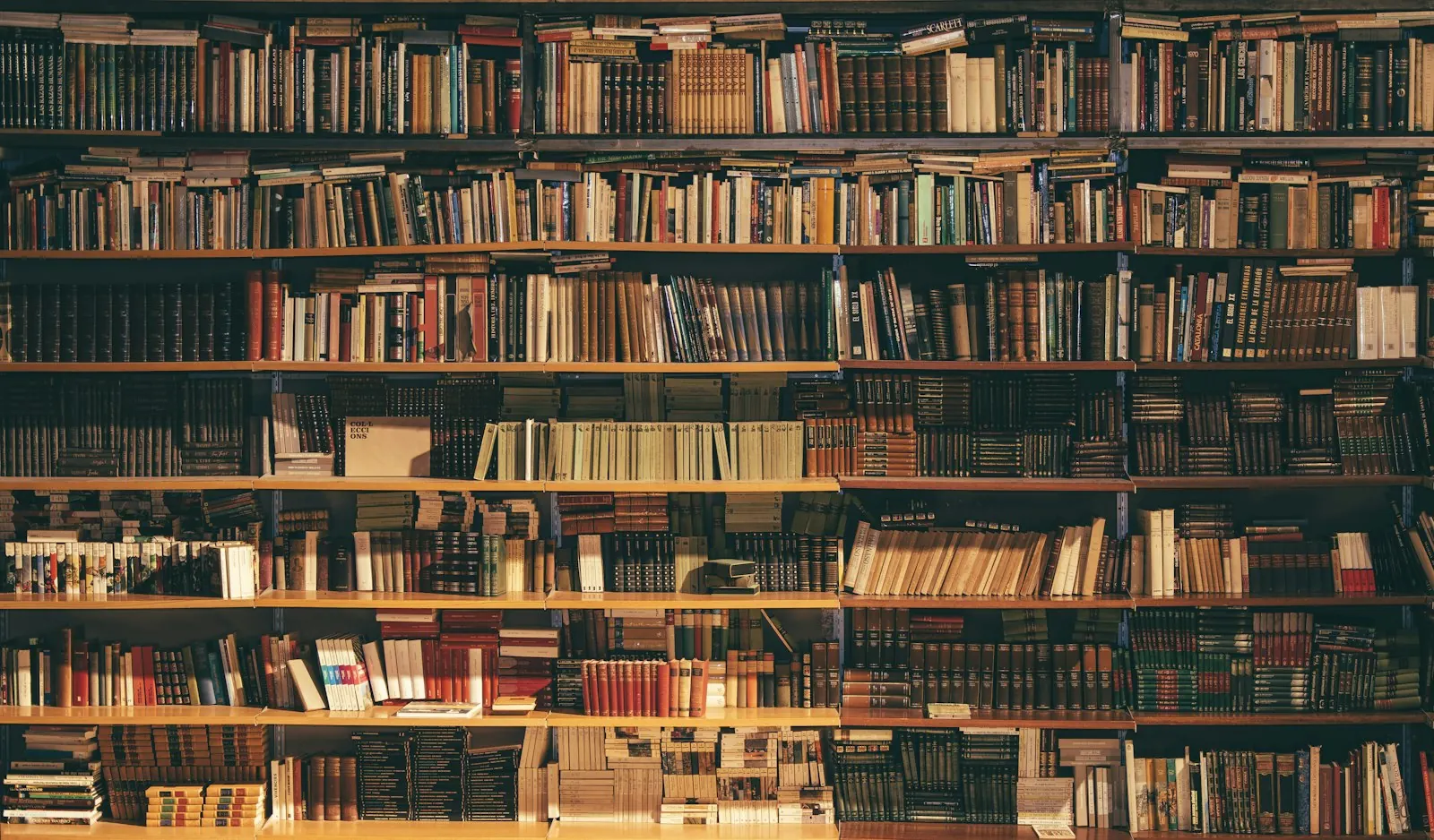 Tall wooden bookshelves full of old books